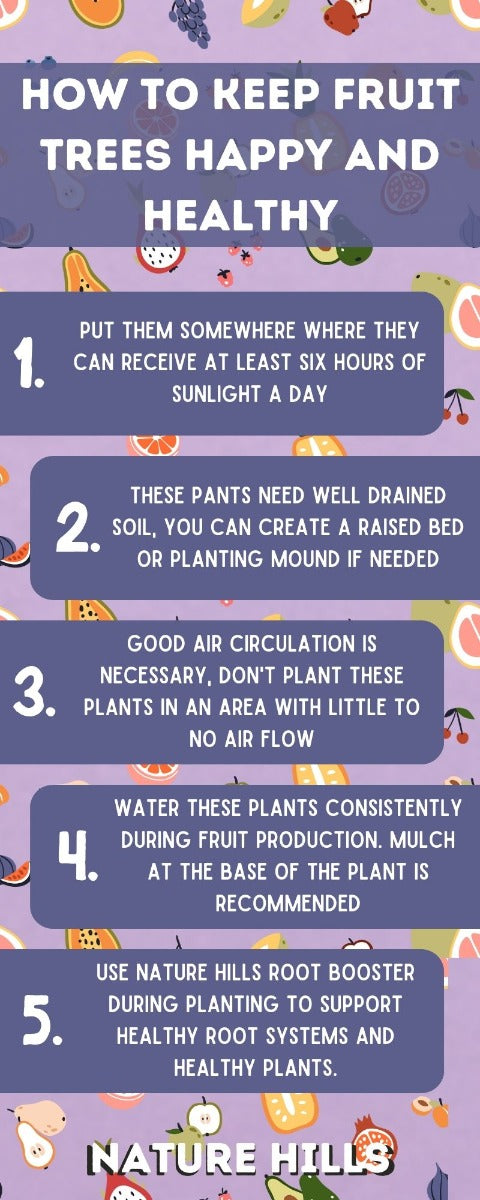 How to keep fruit trees happy and healthy