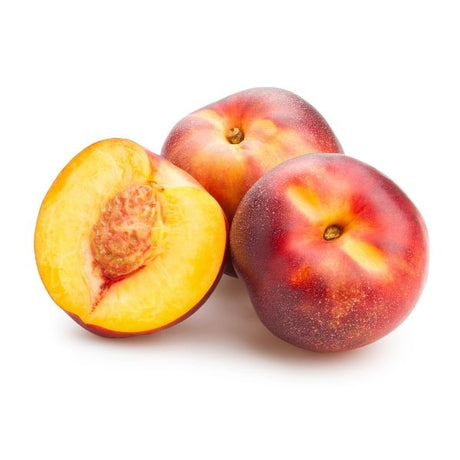 Mini Nectar Zee Nectarine Tree - Nature Hills Nursery - Paper Pot 4 - 5 Feet - 