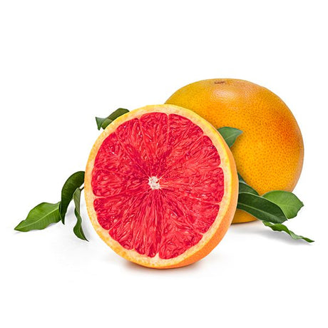 Ruby Red Grapefruit Tree - Nature Hills Nursery - #3 Container 3 - 4 Feet - 